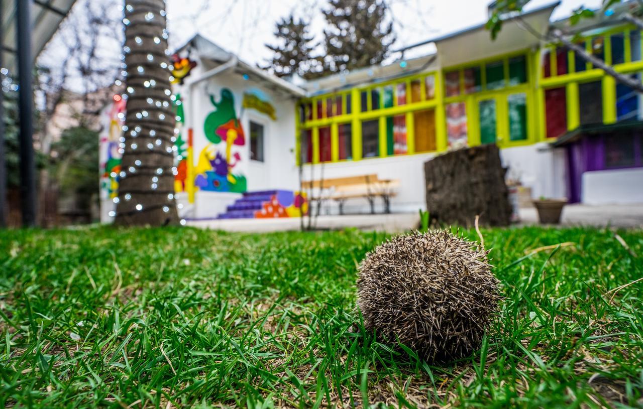 Zgarbi Hostel Tbilisi Eksteriør billede